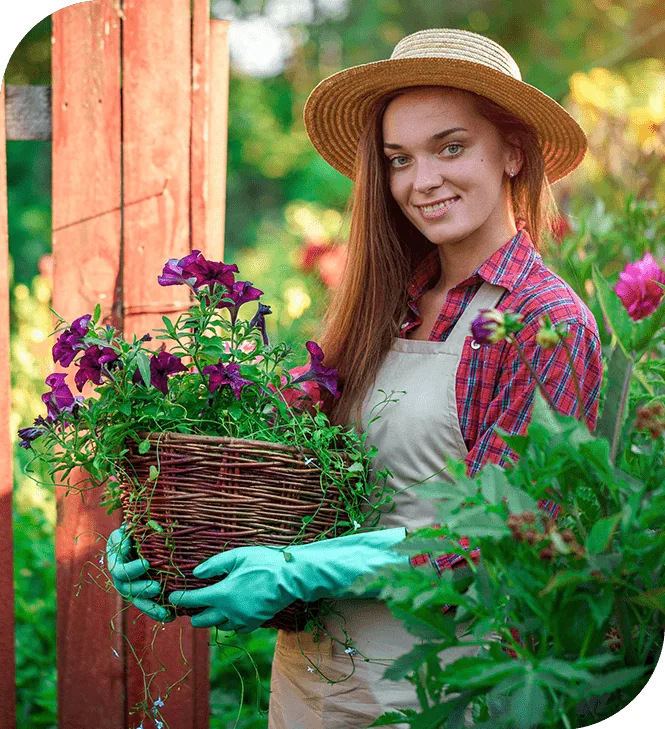 A smiling gardener holding a basket of freshly potted flowers