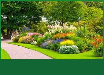 A landscaped garden bed and path
