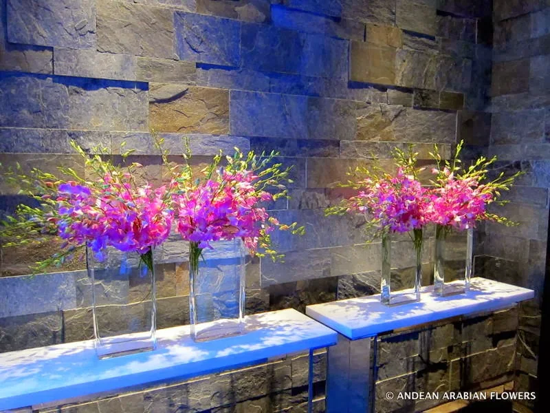 Dendrobium orchid reception arrangements in tall glass vases against a stone wall